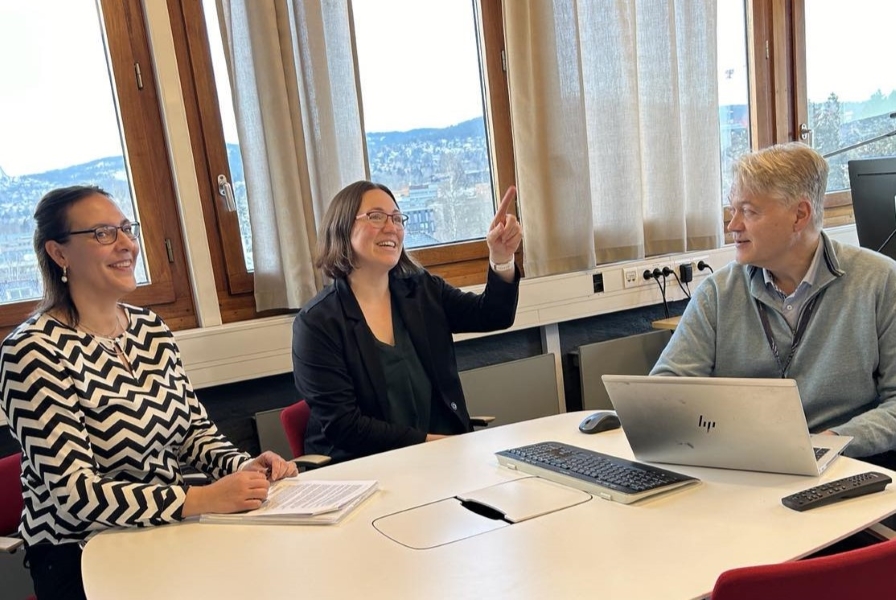 Helena Holck Løchen (UiO), Christine Avasjö Kuess fra Mälardalens universitet og Jørgen Bock (UiO)